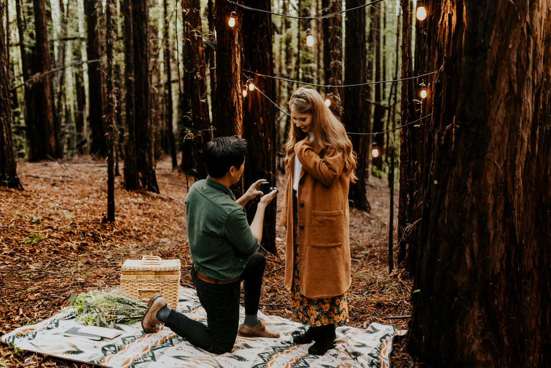 Boho California Redwoods Proposal