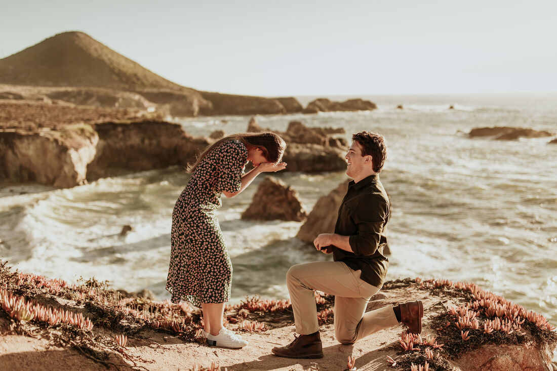Big Sur Proposal Photographer