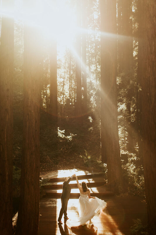 Santa Cruz Redwood Elopement Photographer