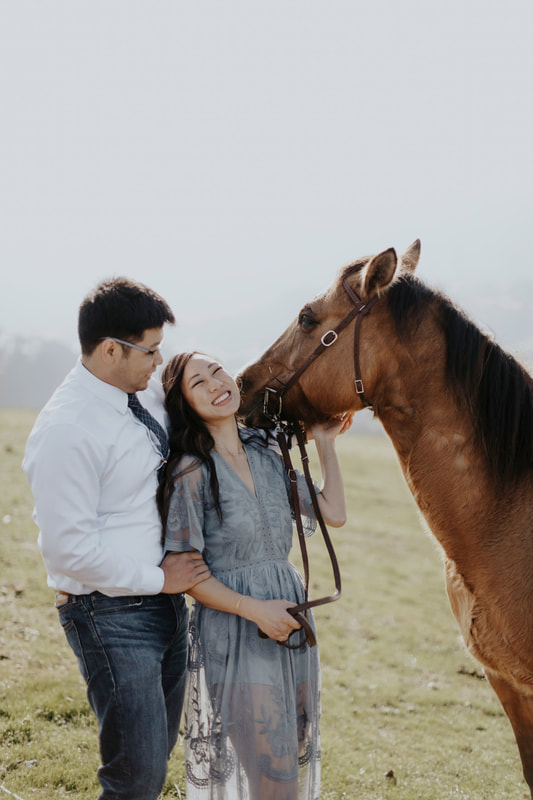 Horse Couples Engagement Photography