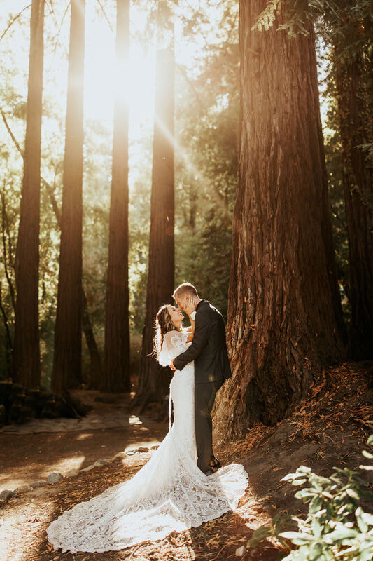 Santa Cruz Redwood Wedding Photographer