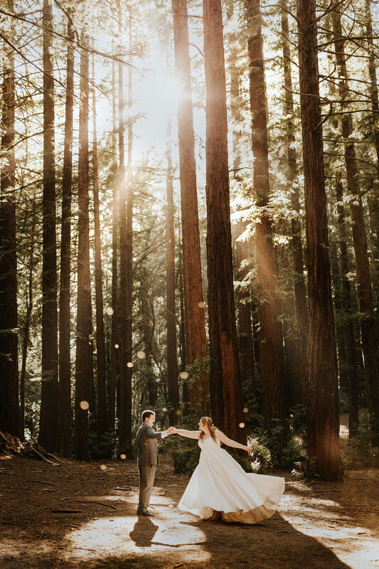 California Redwood Elopement Photographer