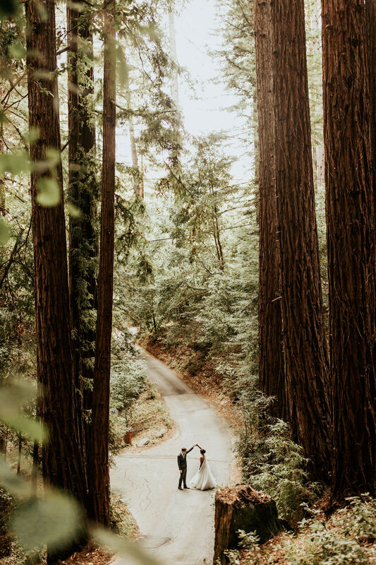 Santa Cruz Redwood Wedding Photographer