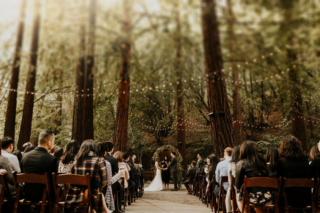 Bay Area Redwood Wedding Photographer
